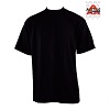 AAA SHORT SLEEVE 1901 (COLOR)